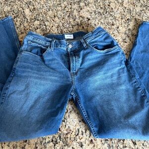 Men Hudson Blue Jeans